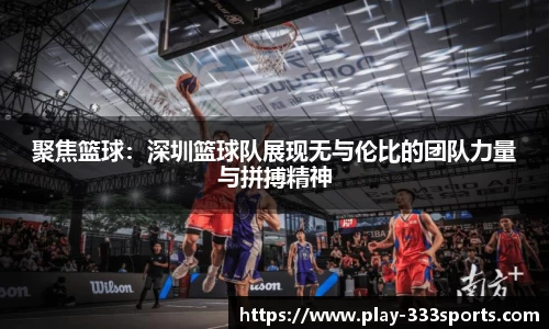 333体育官方网站